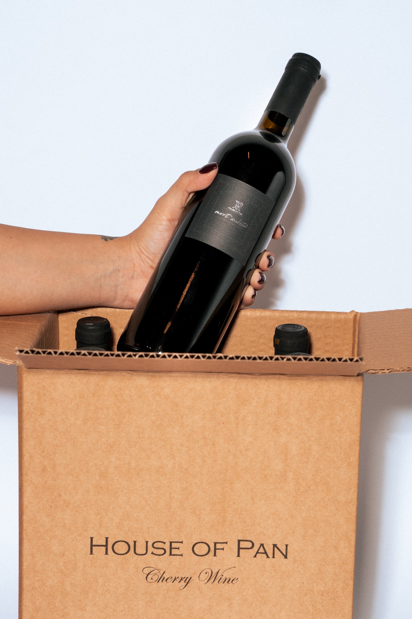 Mort Subite, Barrel aged chery wine, 75cl , 2024